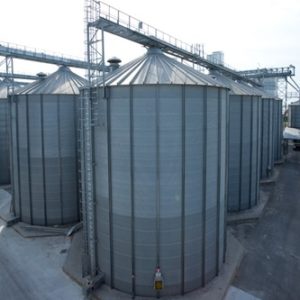 WhatsApp Image 2021-09-25 at 12.19.18 PM